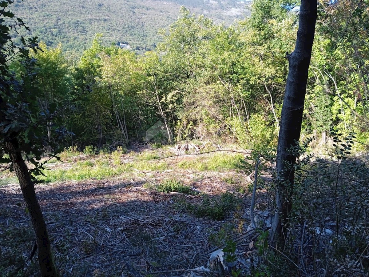 BRSEČ
