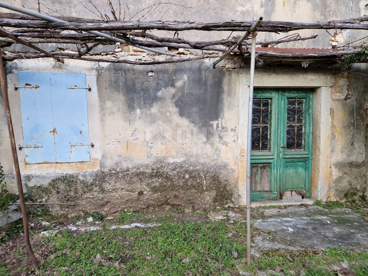 BUJE