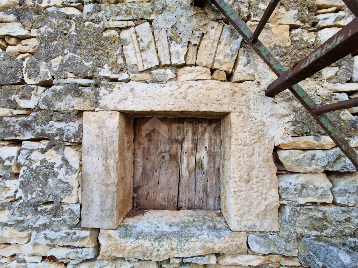 BUJE