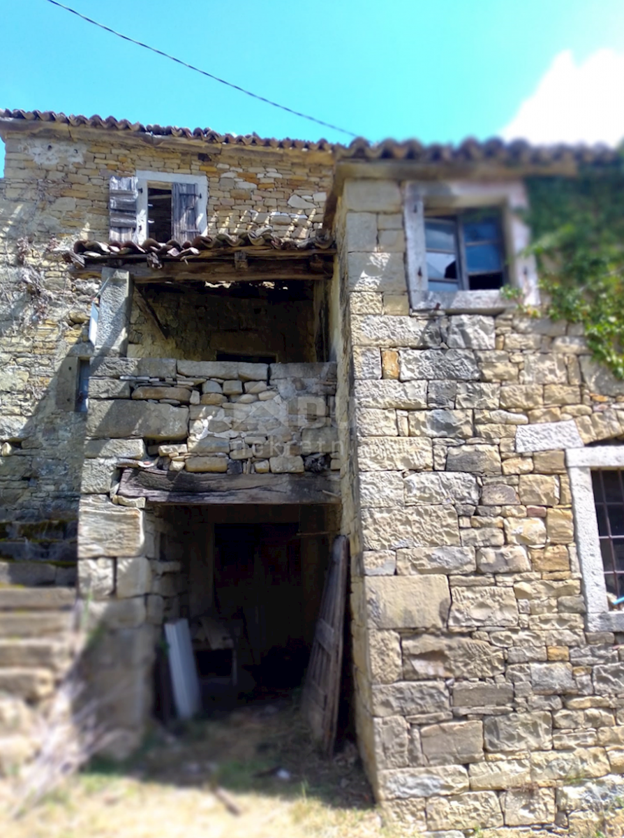 BUZET