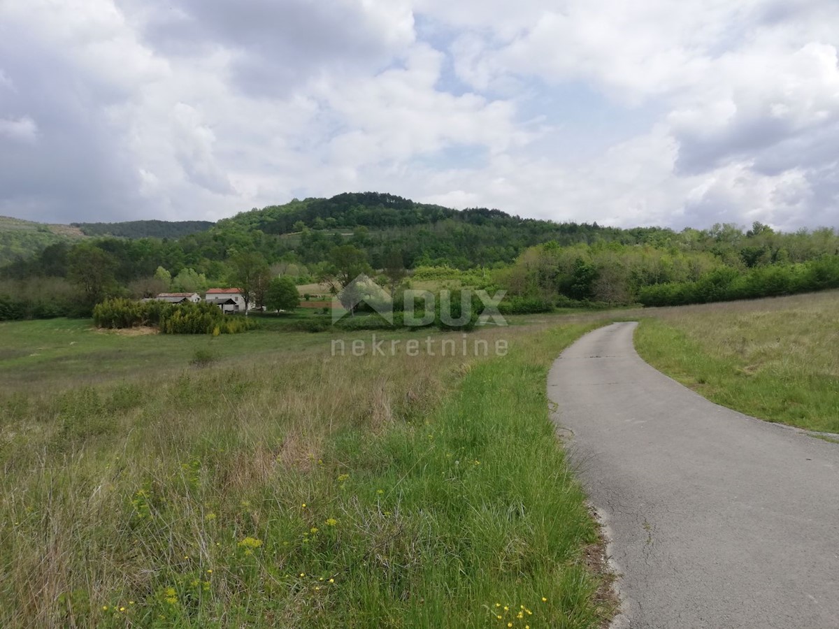 MOTOVUN
