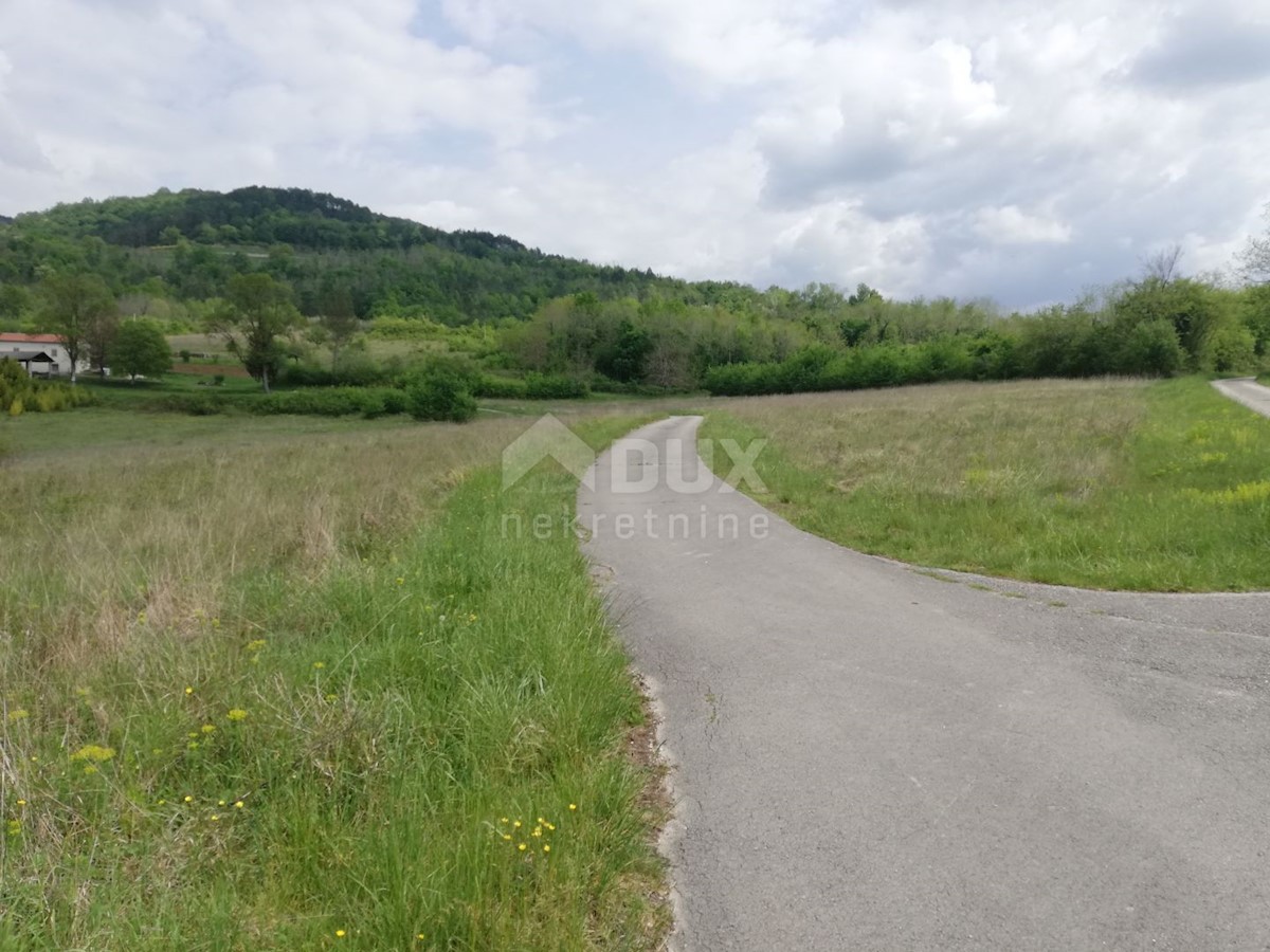 MOTOVUN