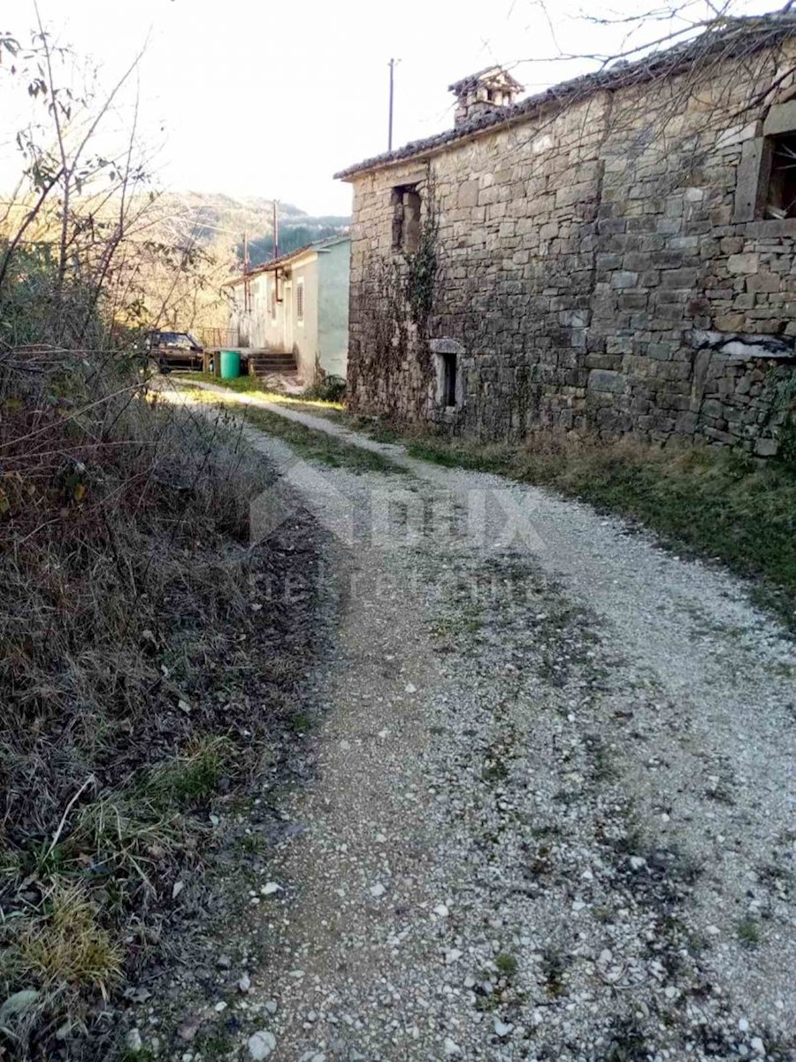 BUZET