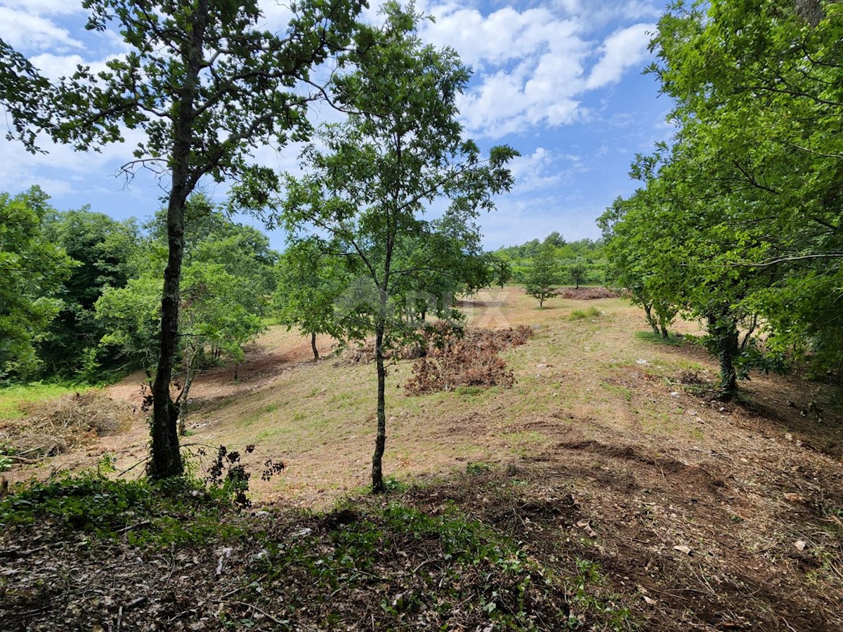 BARBAN