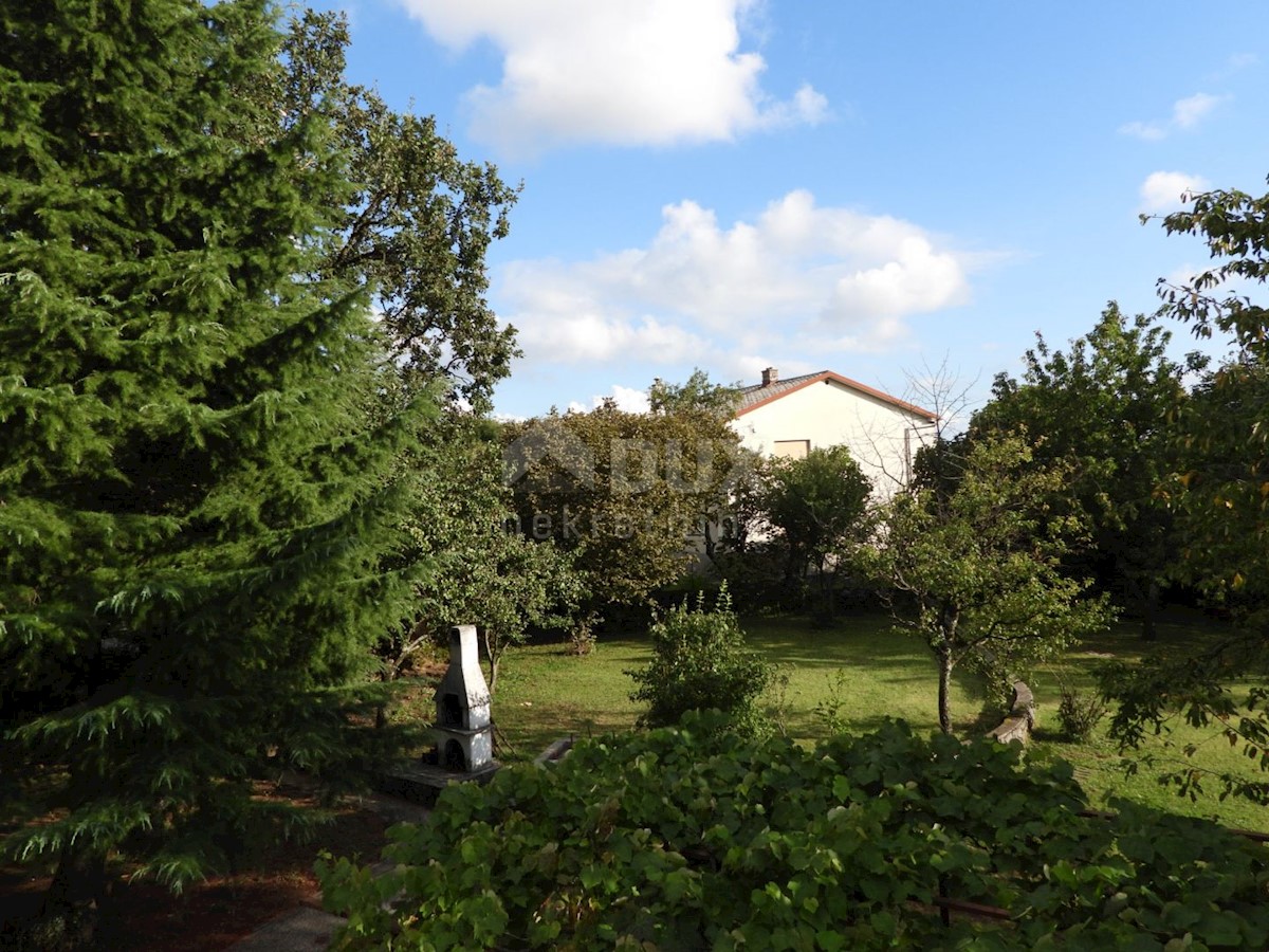 image 23