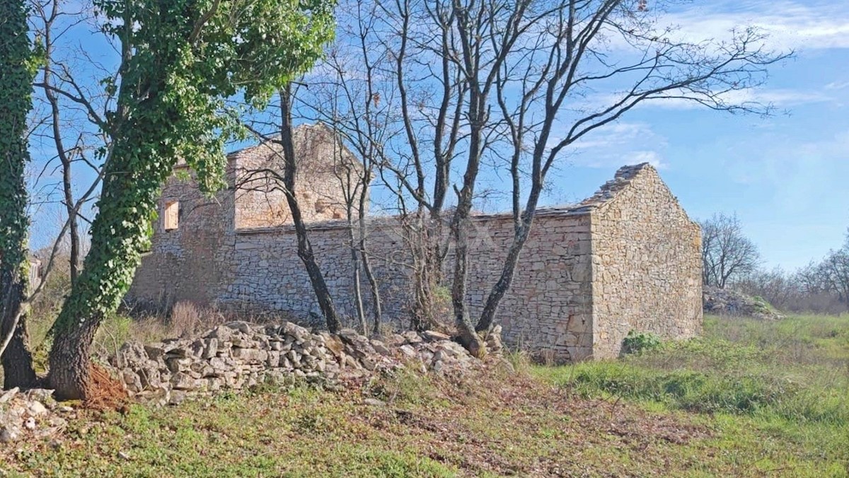 SVETVINČENAT
