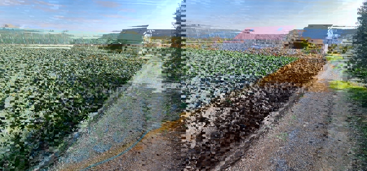 Terreno TROGIR, 75.000 €