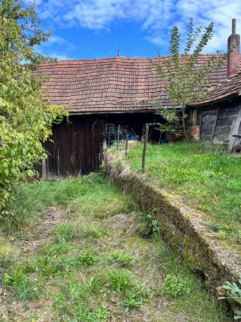image 13