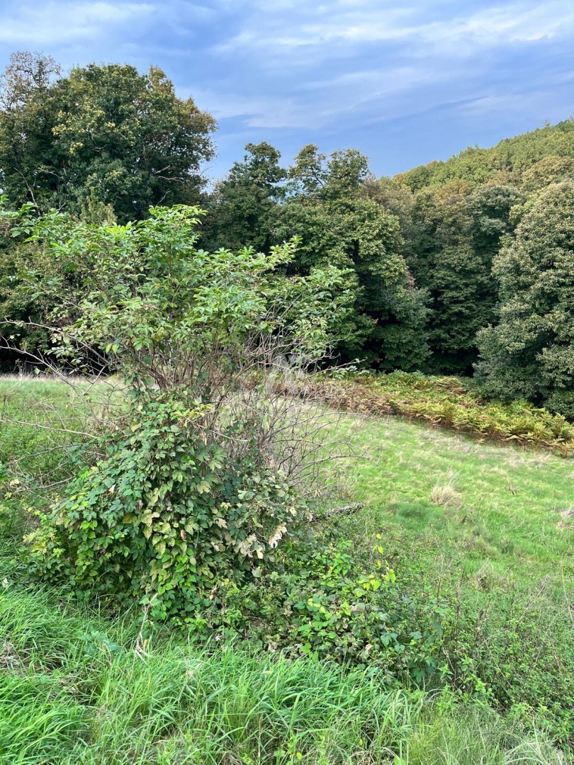 image 16