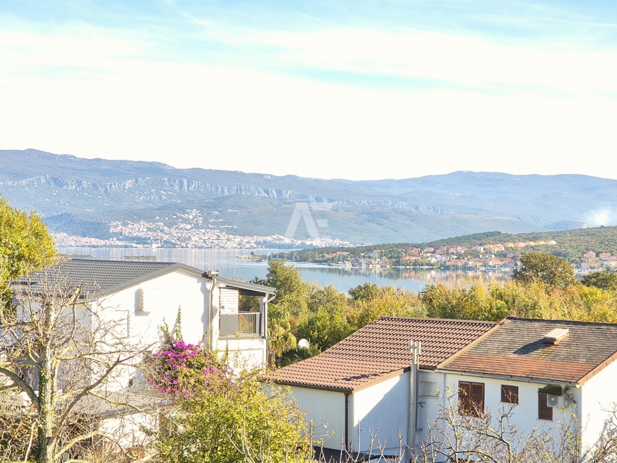 ČIŽIĆI