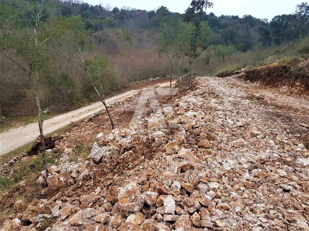 PINEZIĆI