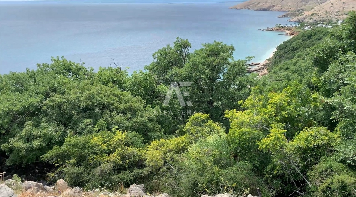 STARA BAŠKA