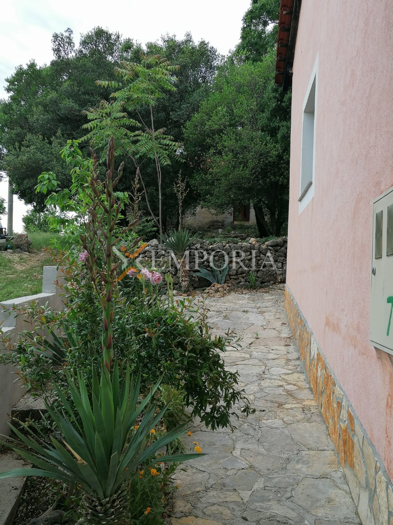 image 14