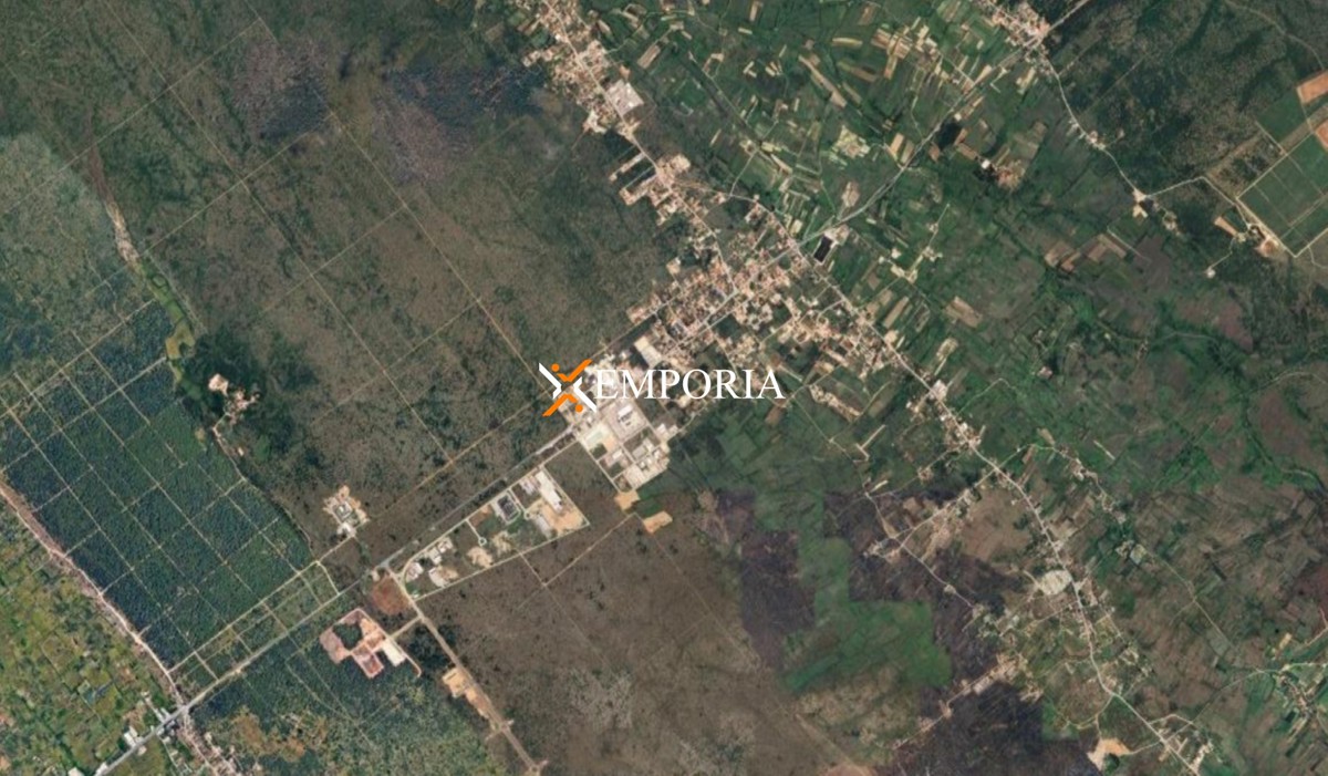 MURVICA
