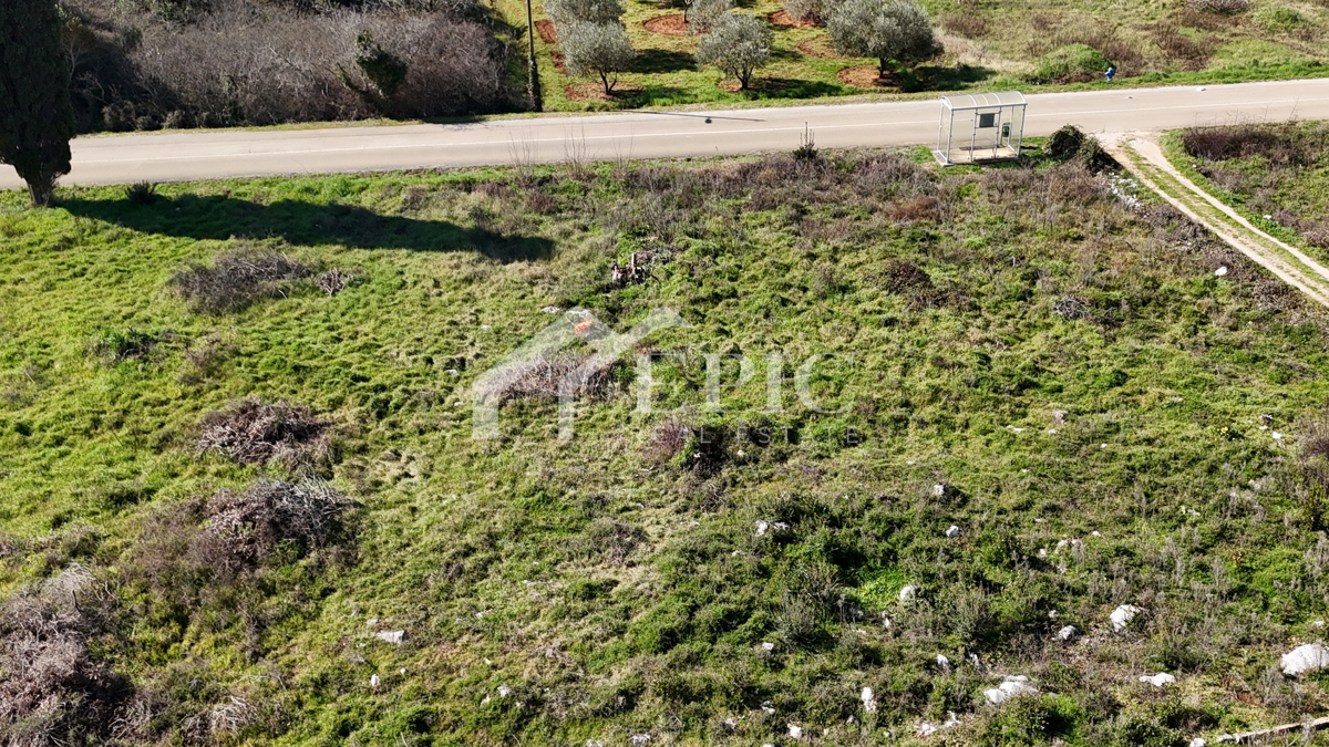 UGLJAN