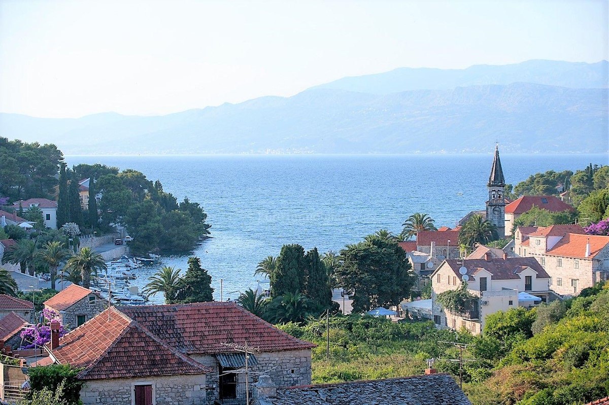 BRAČ