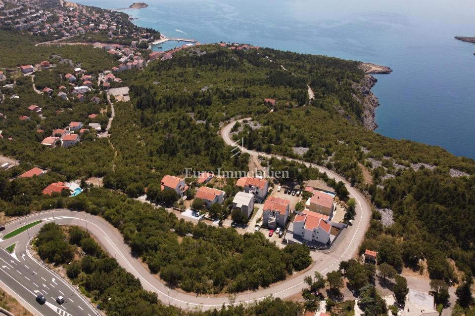 KLENOVICA