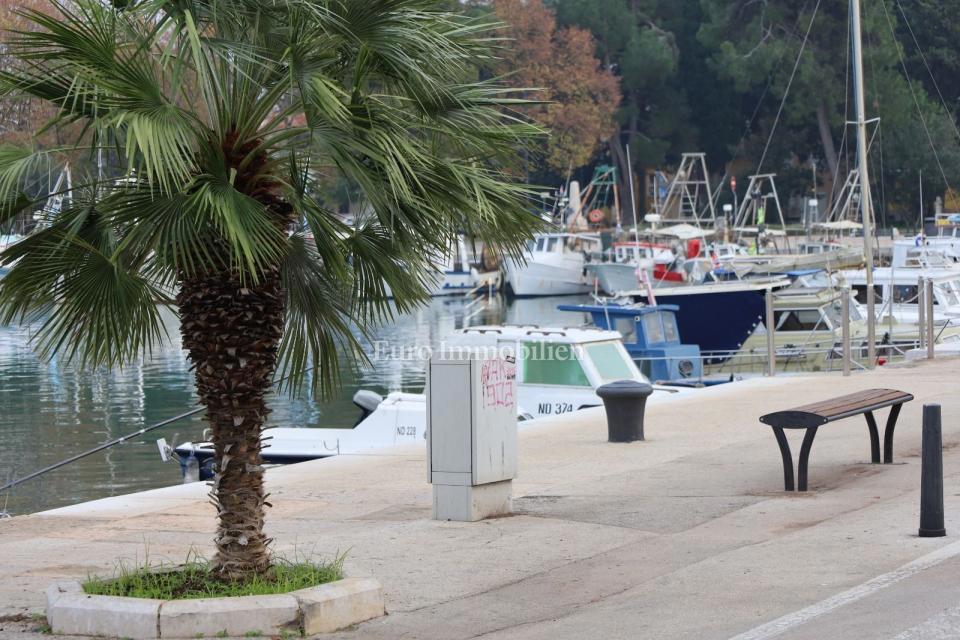 NOVIGRAD