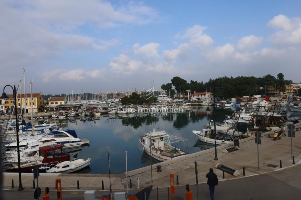 NOVIGRAD