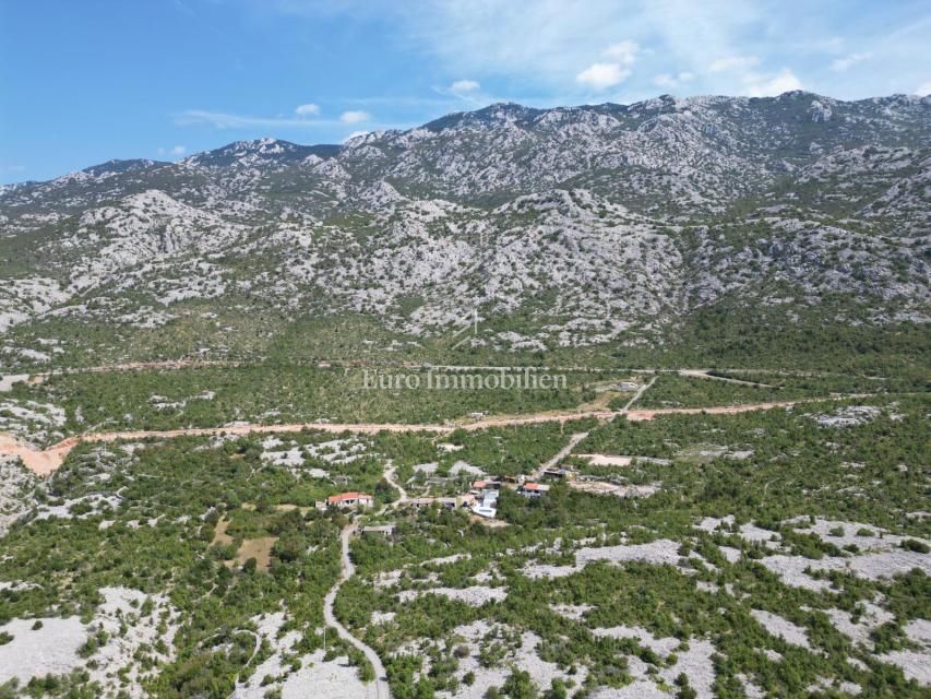 STINICA