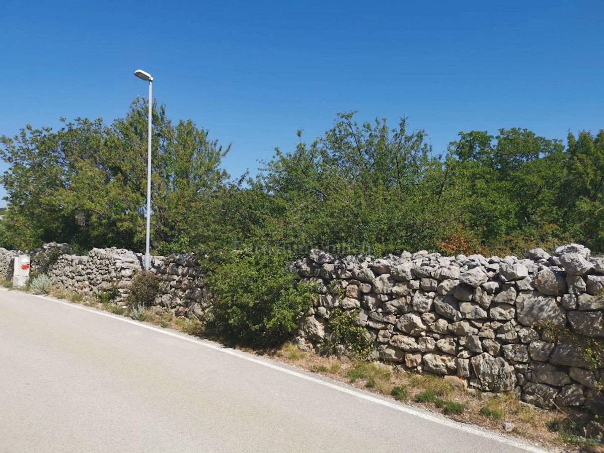 SMOKVICA KRMPOTSKA