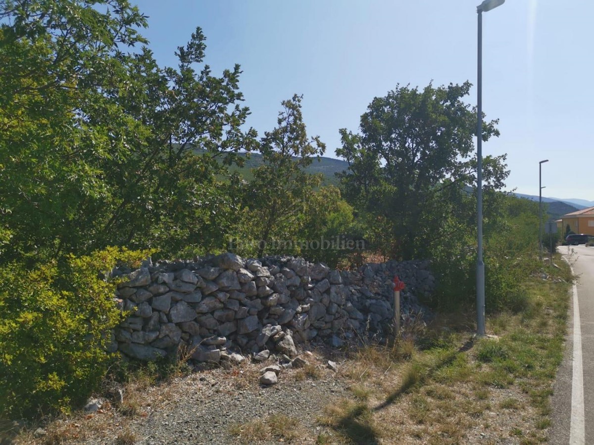 SMOKVICA KRMPOTSKA