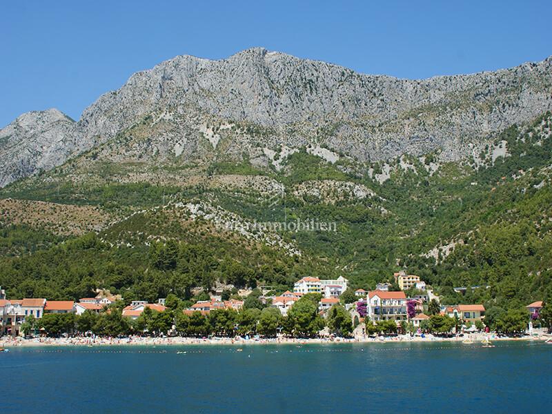 DRVENIK