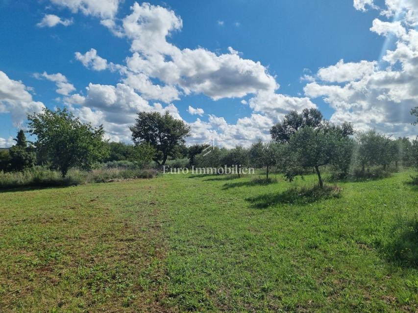 Участок TAR-VABRIGA, 1.300.000 €