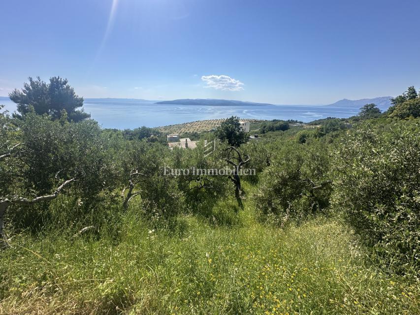 MAKARSKA