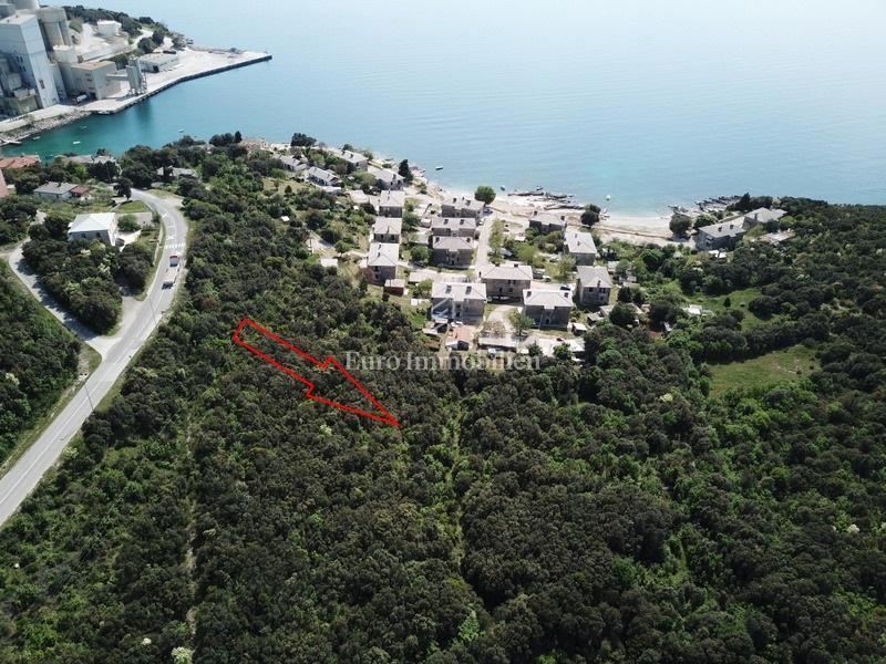 KOROMAČNO