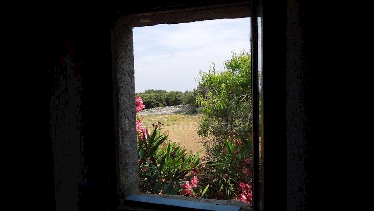 PUNTA KRIŽA