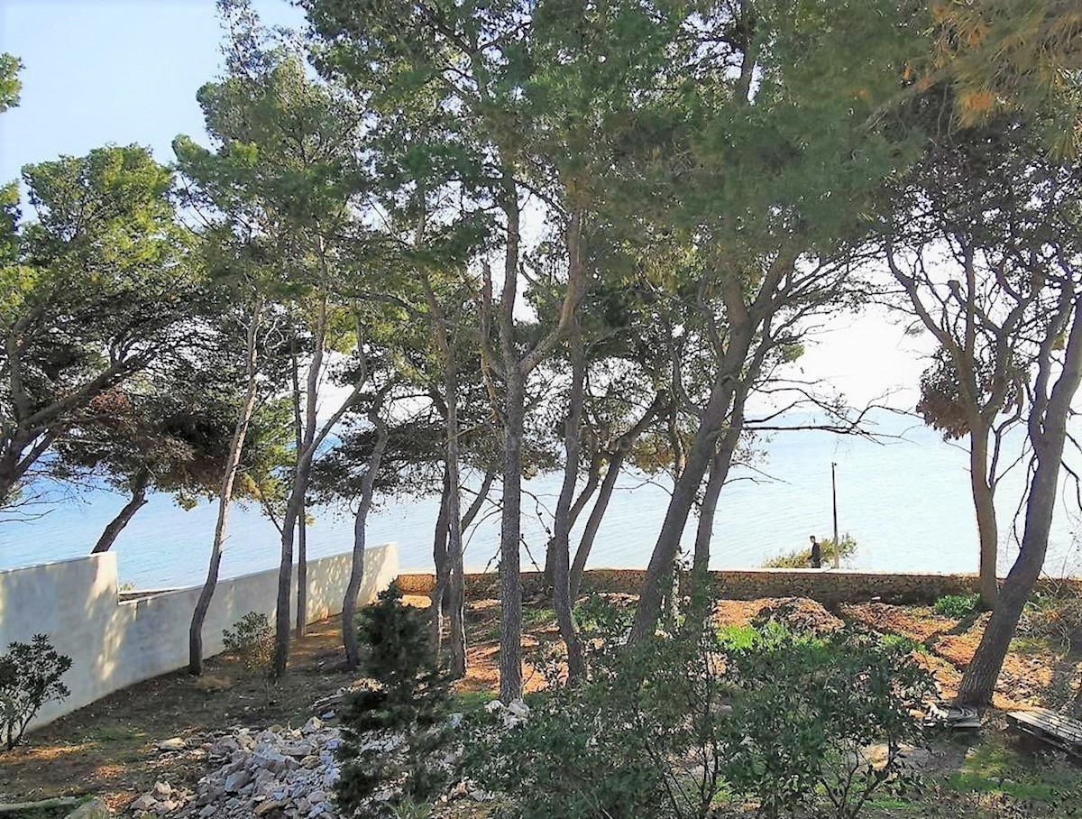 BRAČ