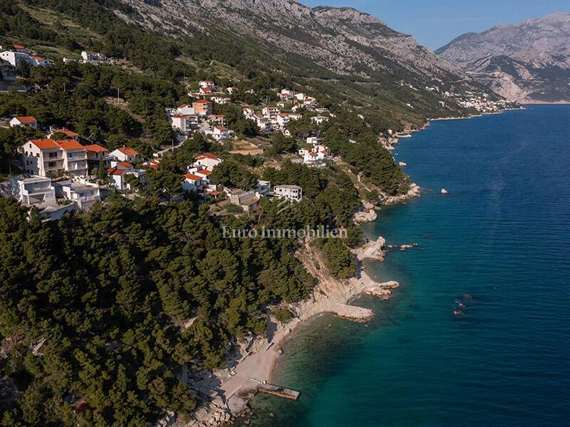 MARUŠIĆI