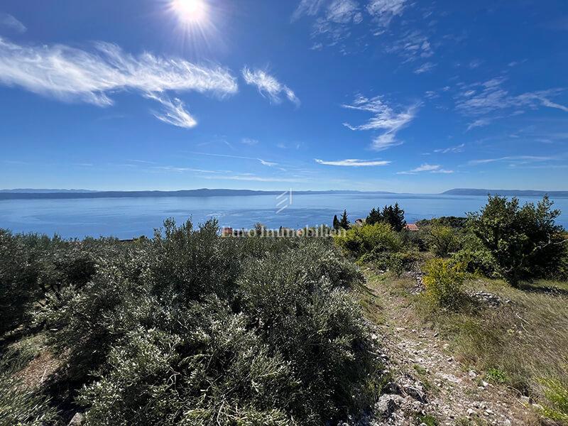 PODGORA