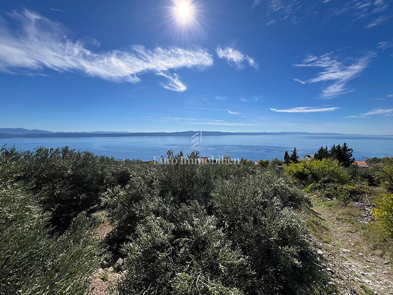 PODGORA