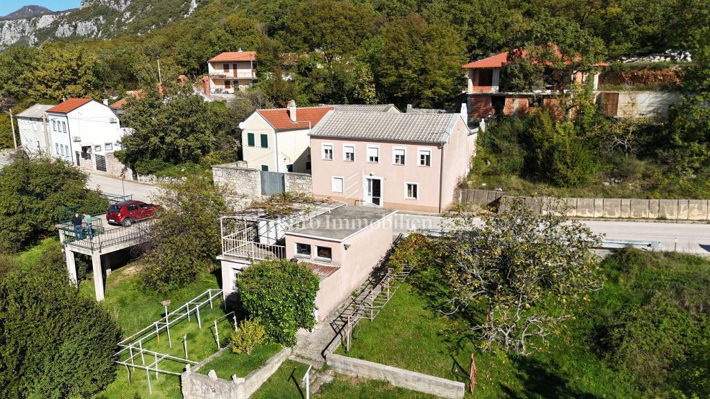GRIŽANE