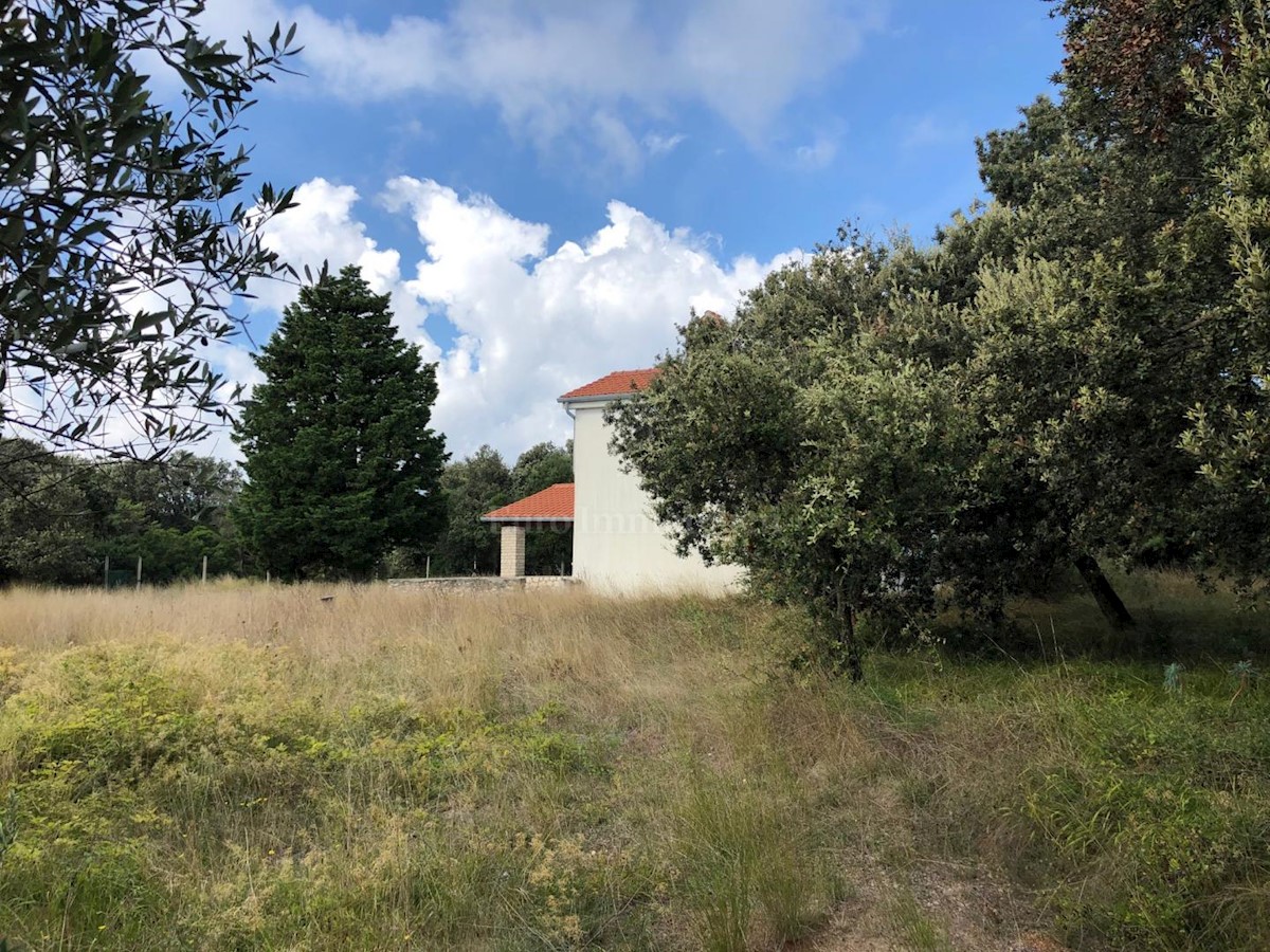 PUNTA KRIŽA