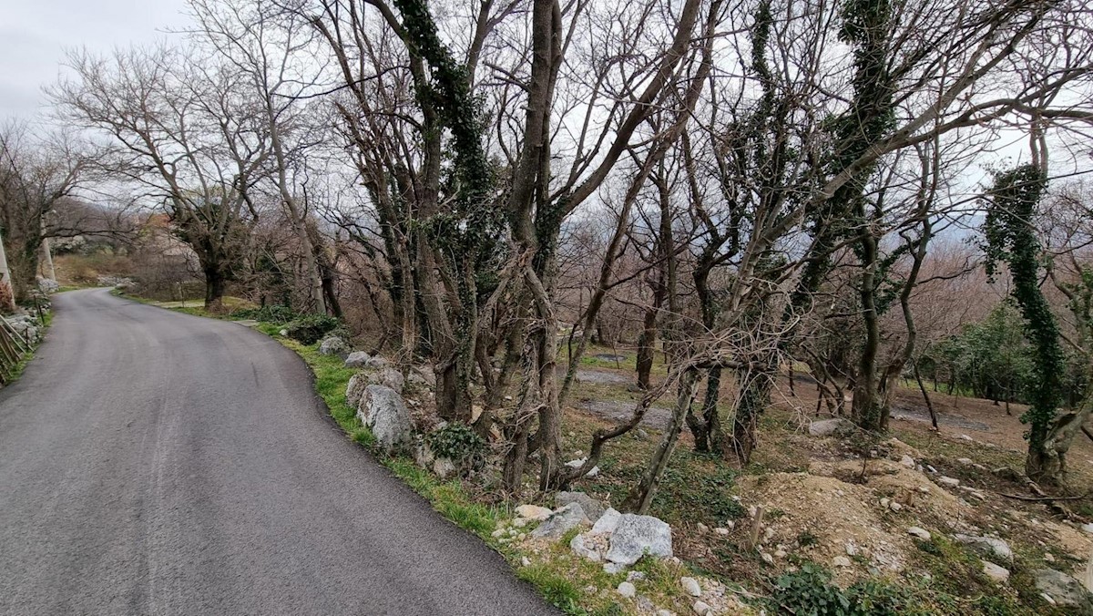 GRIŽANE