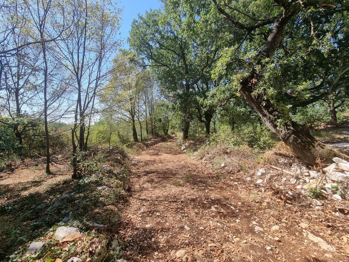 SVETI LOVREČ PAZENATIČKI