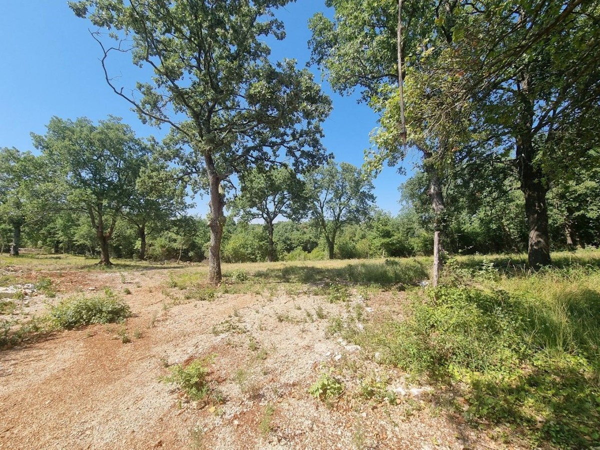 SVETI LOVREČ PAZENATIČKI