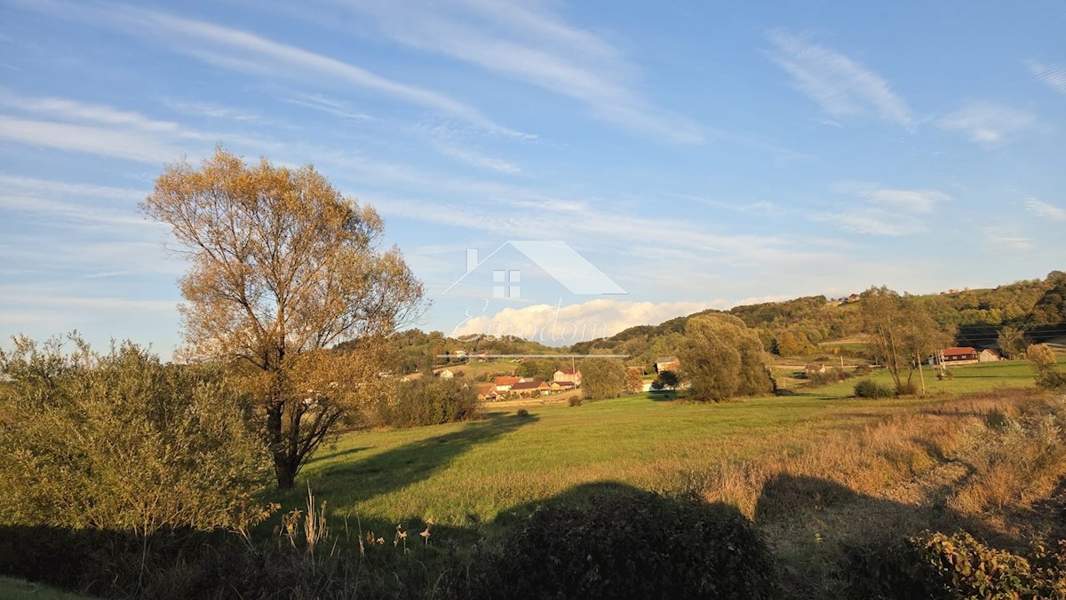 VIČA SELA