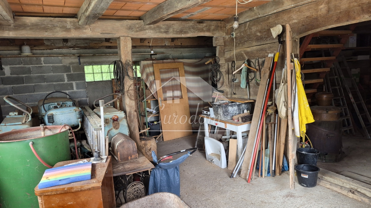 image 13