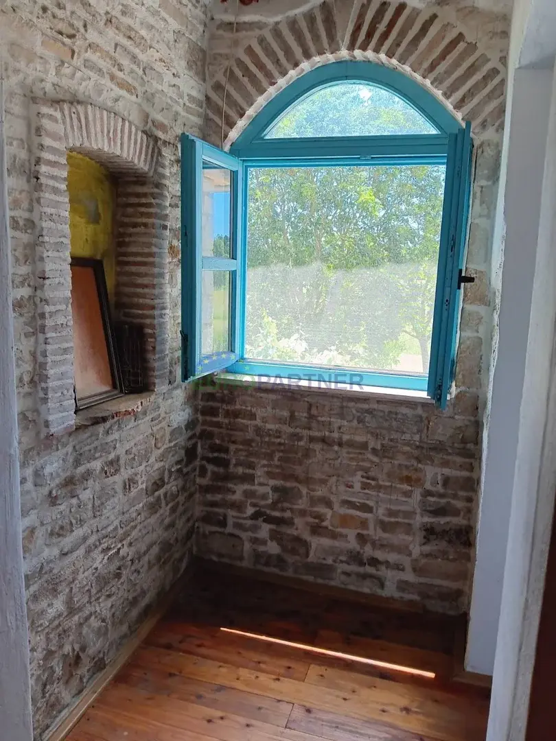 image 13