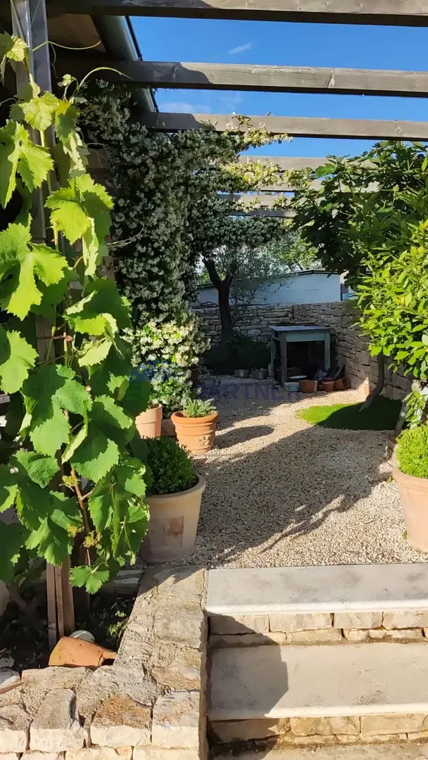 image 27