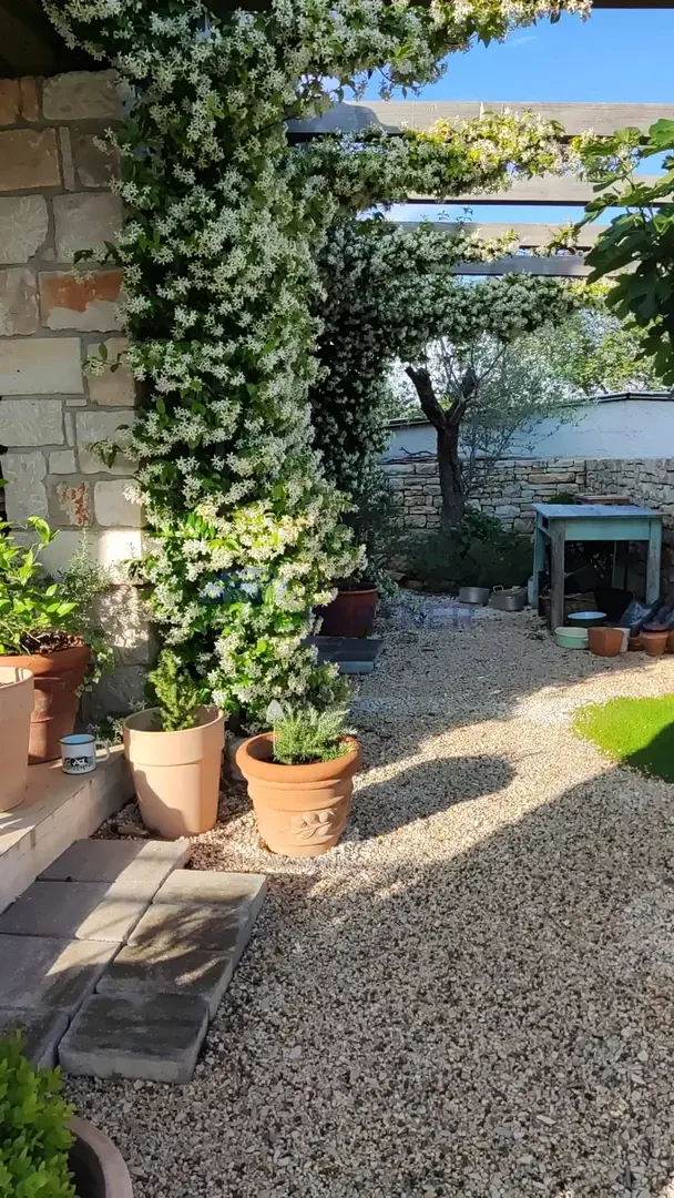 image 25