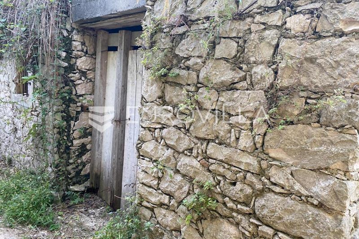 SUSAK