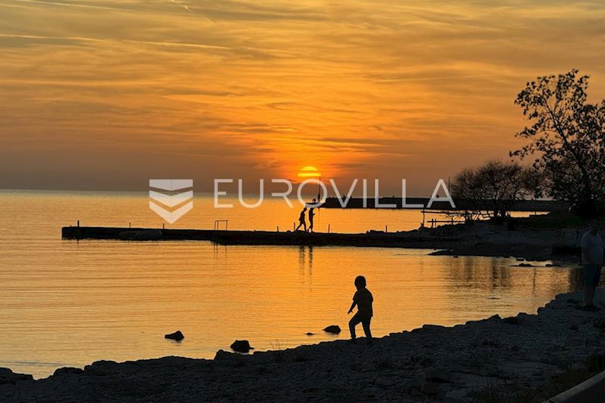 UMAG