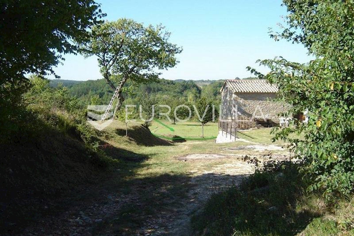 NOVAKI MOTOVUNSKI