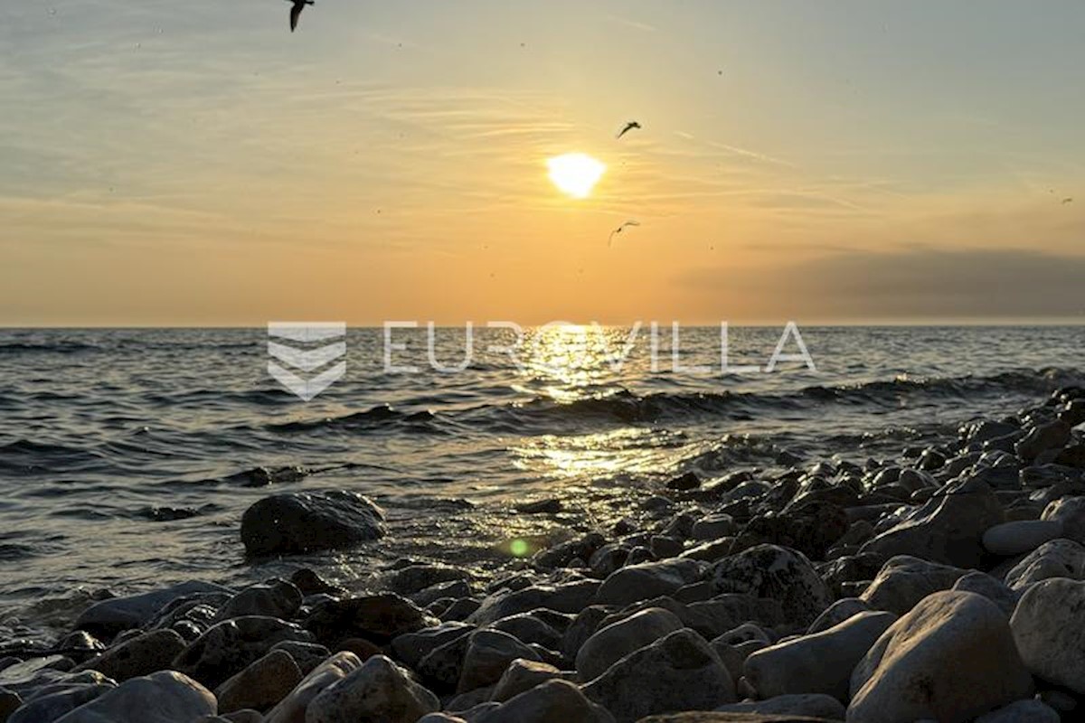 UMAG