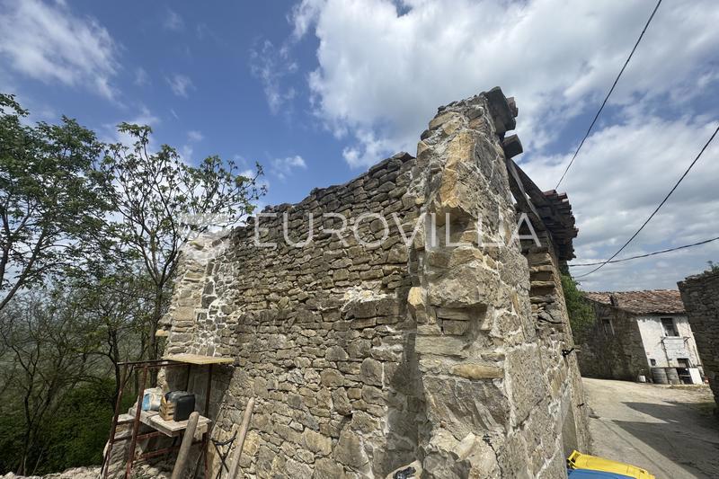 image 15